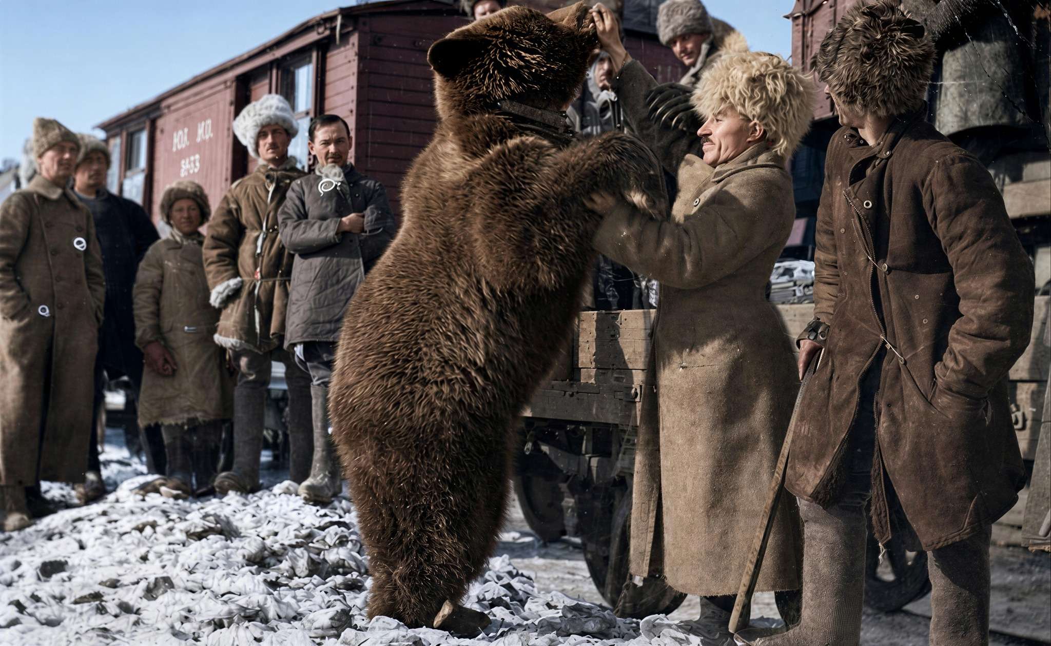 A trained bear beside the railway · 1910s restored with Forevi