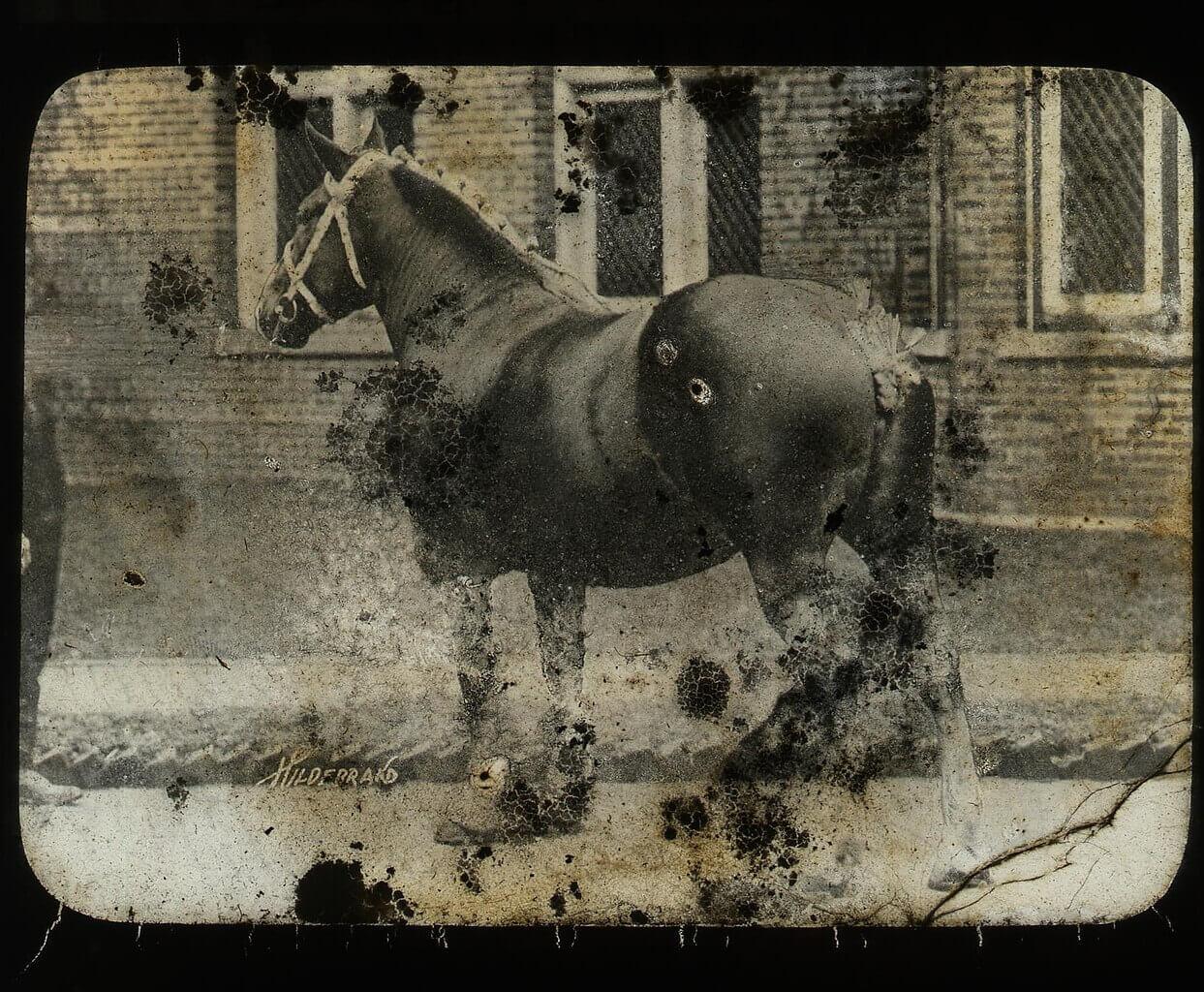 Before - Restore damaged and faded photos