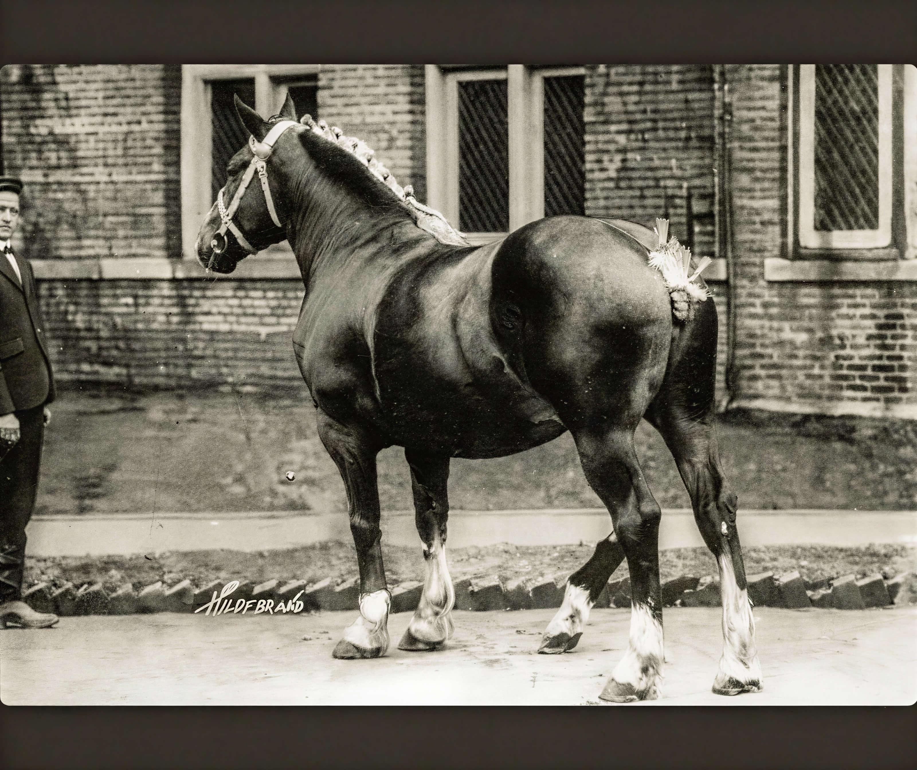 After - Restore damaged and faded photos